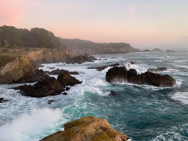 Bodega Bay, CA